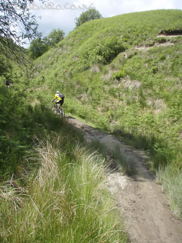 Marin Rough Ride 2009