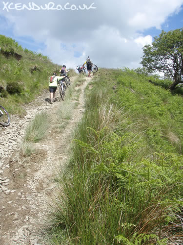 Marin Rough Ride 2009